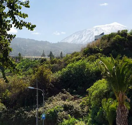 Falcón * La Guancha